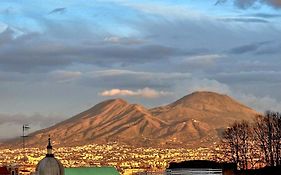 Olivella21 Vesuvio